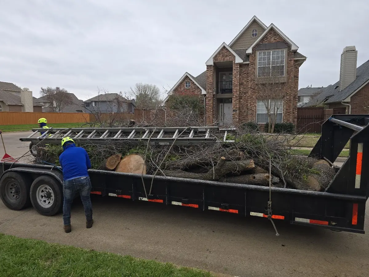 Expert Crown Reduction with proper safety equipment in Mitchellville